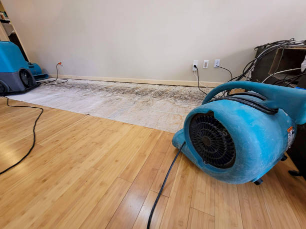 Professional Basement Flood Cleanup technician working in Lafayette, CA